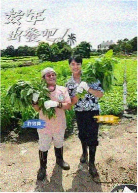 老牛影视大全免费版-王牌对王牌